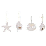 Iridescent Shell Ornament