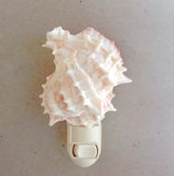 Pink Murex Shell Nightlight