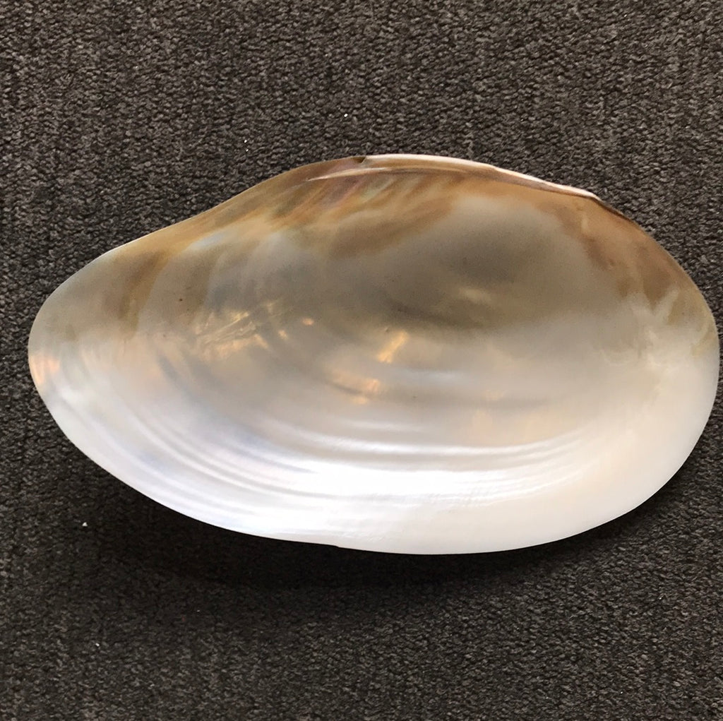 Mother of Pearl Dish