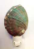 Abalone Shell Nightlight