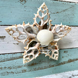 Blue Limpet Star Tree Top