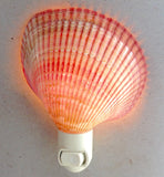 Rose Cockle Nightlight