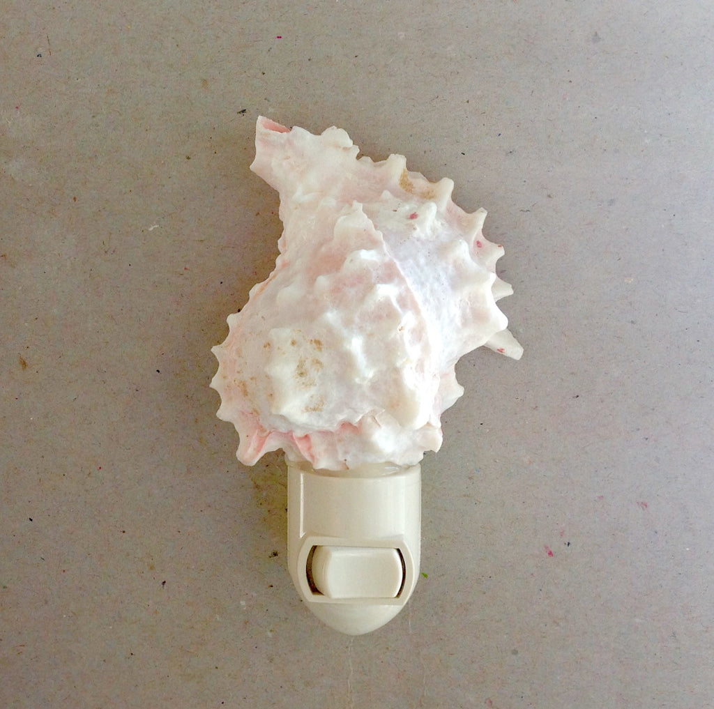 Pink Murex Shell Nightlight