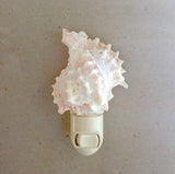 Pink Murex Shell Nightlight