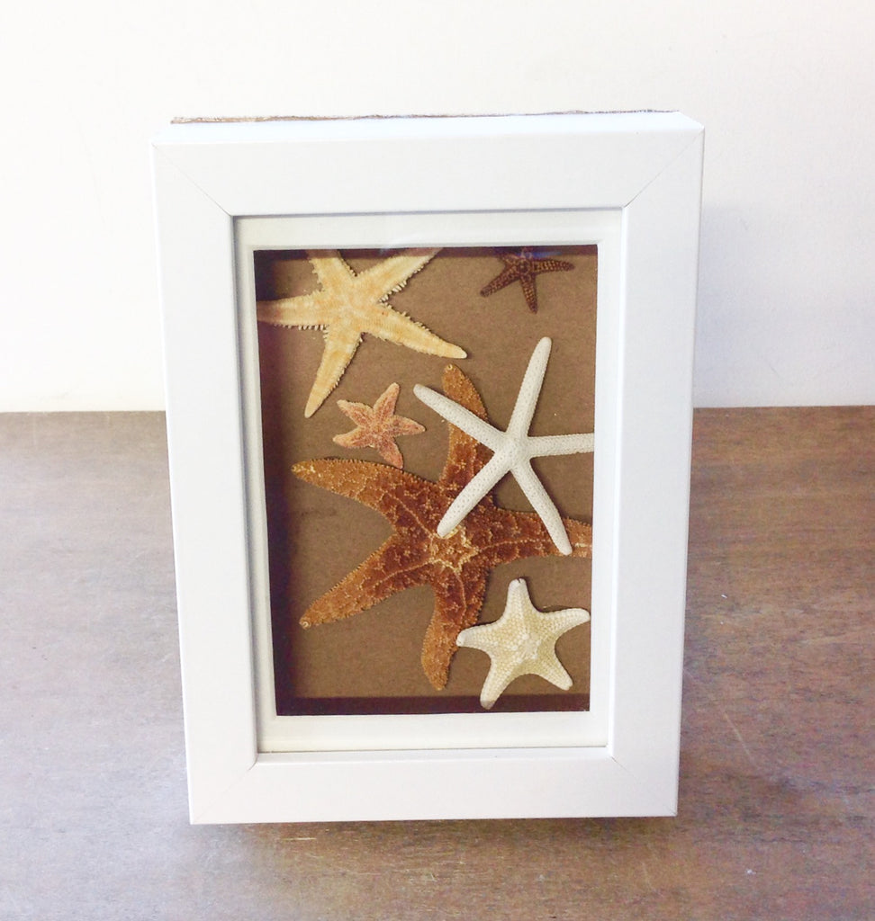 Shadow Box Treasures