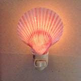 Colorful Scallop Shell Nightlight