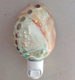 Abalone Shell Nightlight