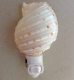 Tonna Shell Nightlight