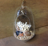 Seashell Hanging Terrarium
