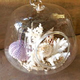 Seashell Hanging Terrarium