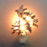 Murex Endivia Nightlight