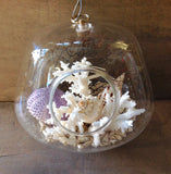 Seashell Hanging Terrarium