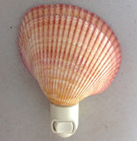 Cockle Shell Nightlight