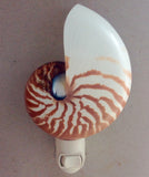 Natural Nautilus Nightlight
