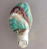 Abalone Shell Nightlight