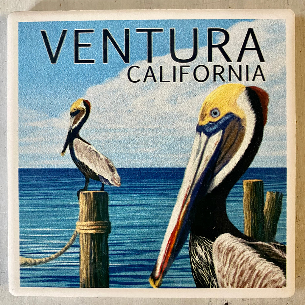 Pelican Coaster