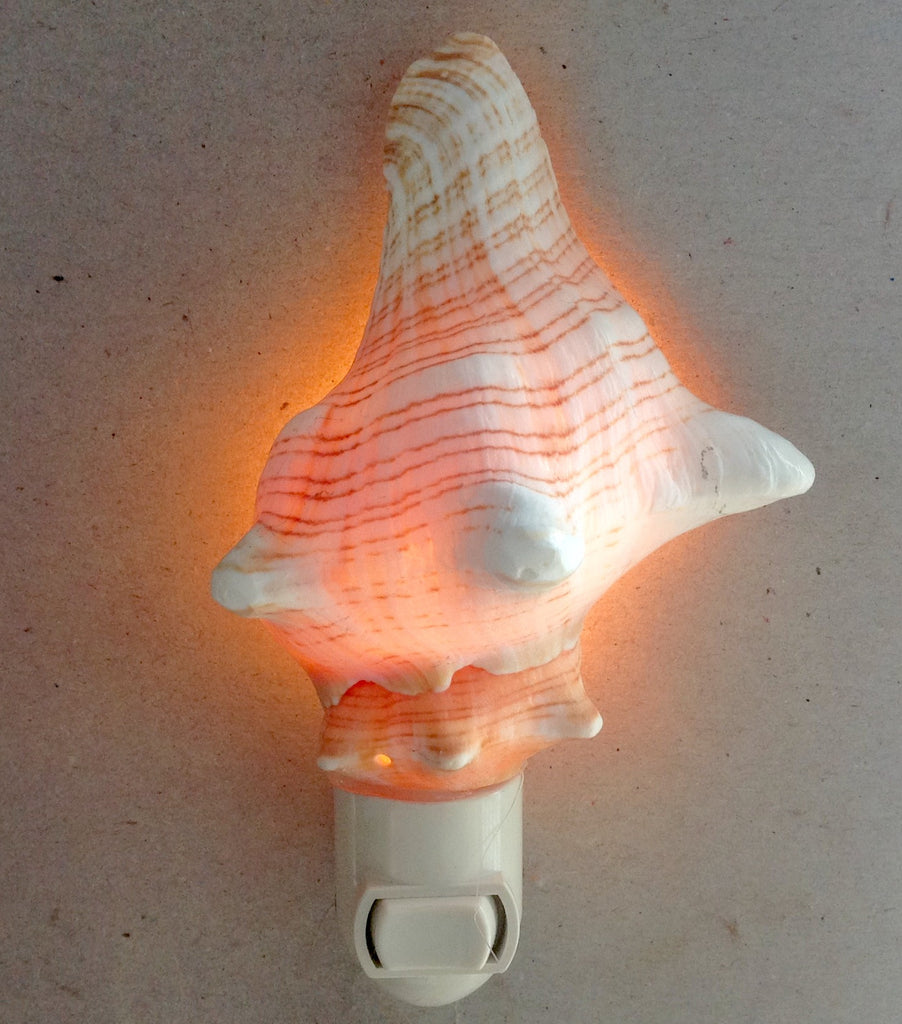 Fox Shell Nightlight