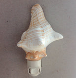 Fox Shell Nightlight