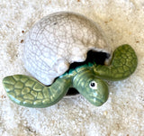 Hatching Turtle Egg
