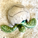 Hatching Turtle Egg
