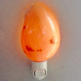 Melon Shell Nightlight