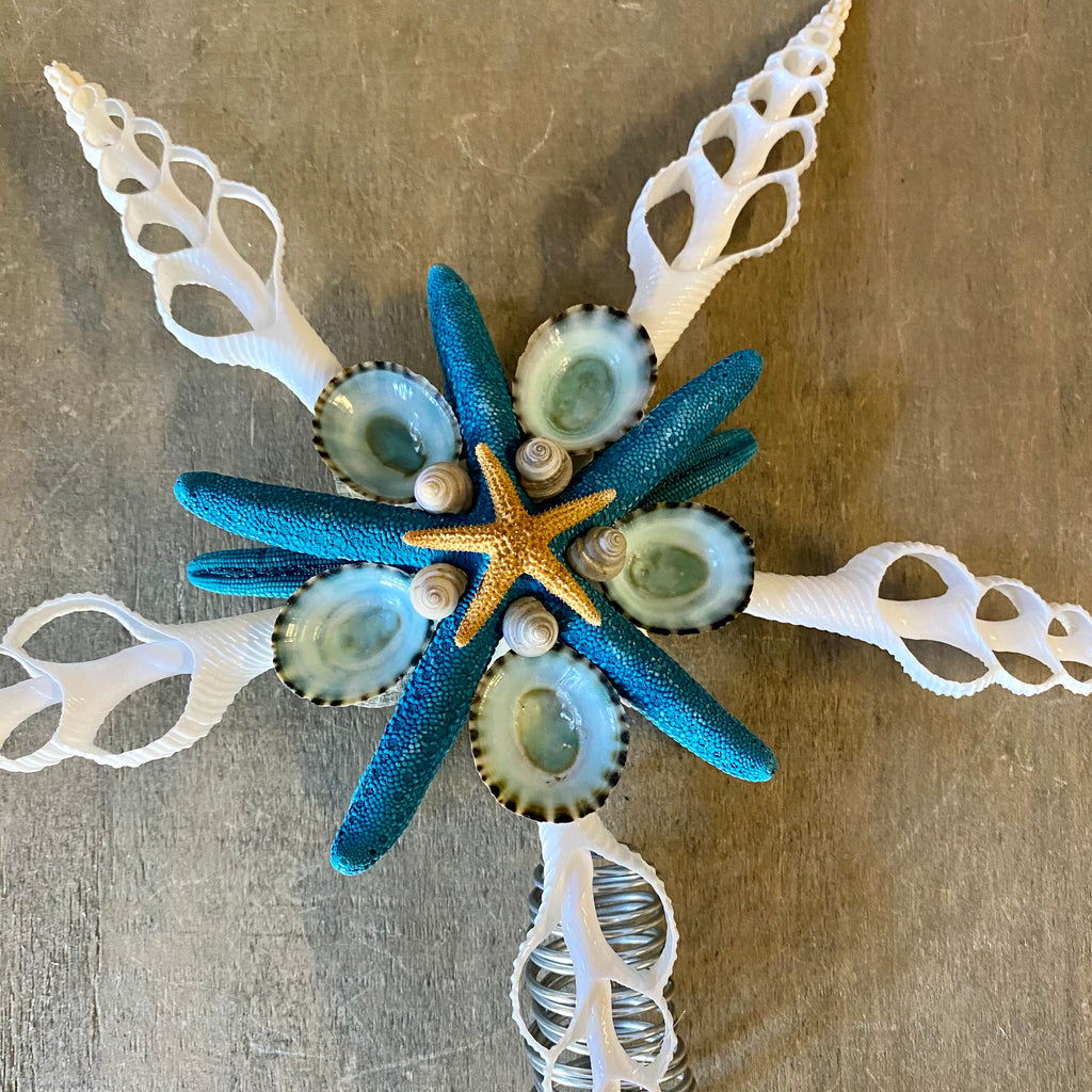 Turquoise Starfish Limpet Tree Top