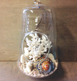 Seashell Hanging Terrarium