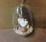 Seashell Hanging Terrarium