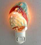 Abalone Shell Nightlight