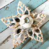 Blue Limpet Star Tree Top