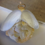 Sweetheart Shell Angel