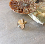 Fossil Ammonite Brass Ring