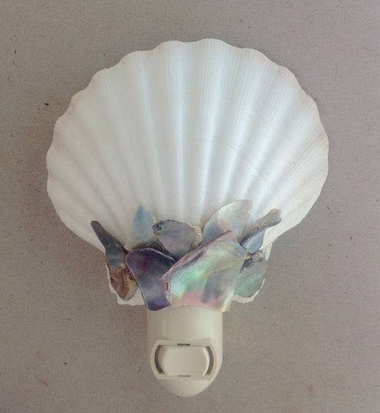 White Pecten Abalone Shell Nightlight – Sea Things Ventura White Pecten Abalone Shell Nightlight – Sea Things Ventura