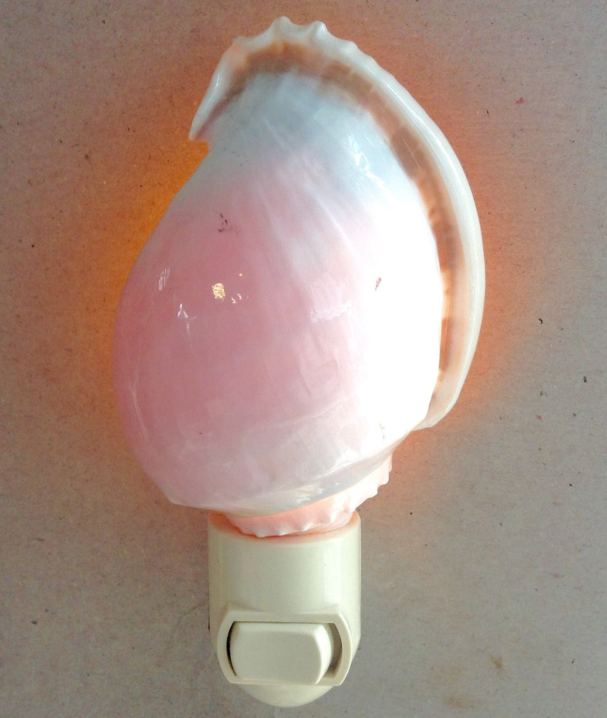 Bonnet Shell Nightlight