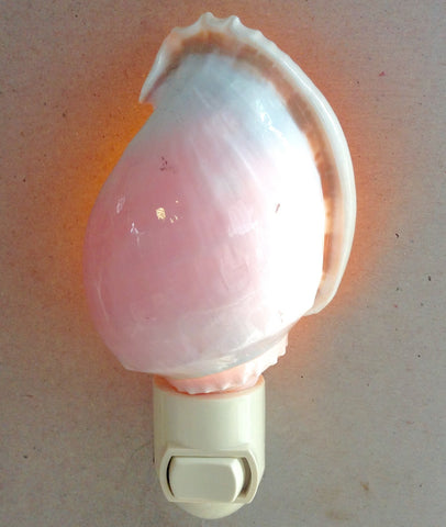 Bonnet Shell Nightlight