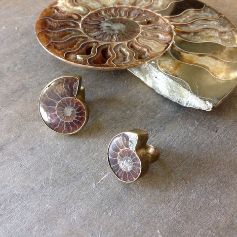 Fossil Ammonite Brass Ring