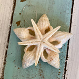 Star and Shell Pearl Ornament