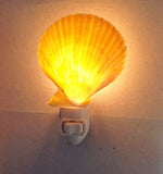 Colorful Scallop Shell Nightlight