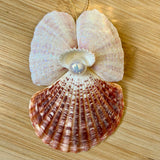 Sunset Shell Angel