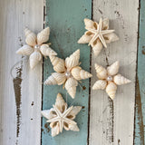 Star and Shell Pearl Ornament