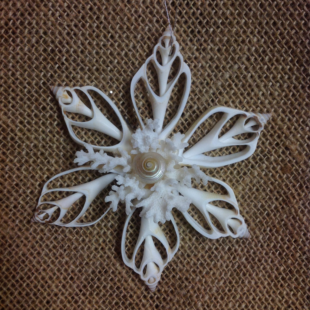 Snowflake Coral Star Shell Ornament