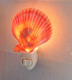 Colorful Scallop Shell Nightlight