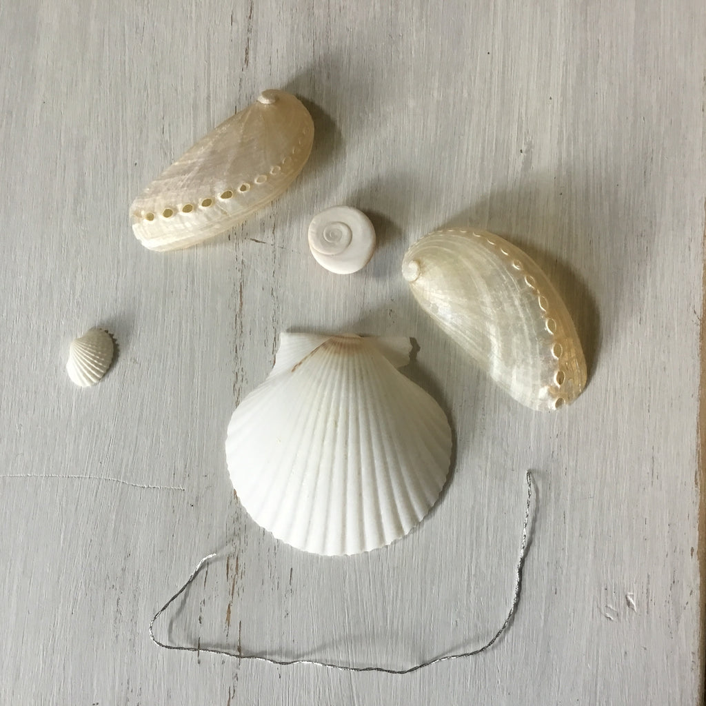 Abalone Angel Craft Box