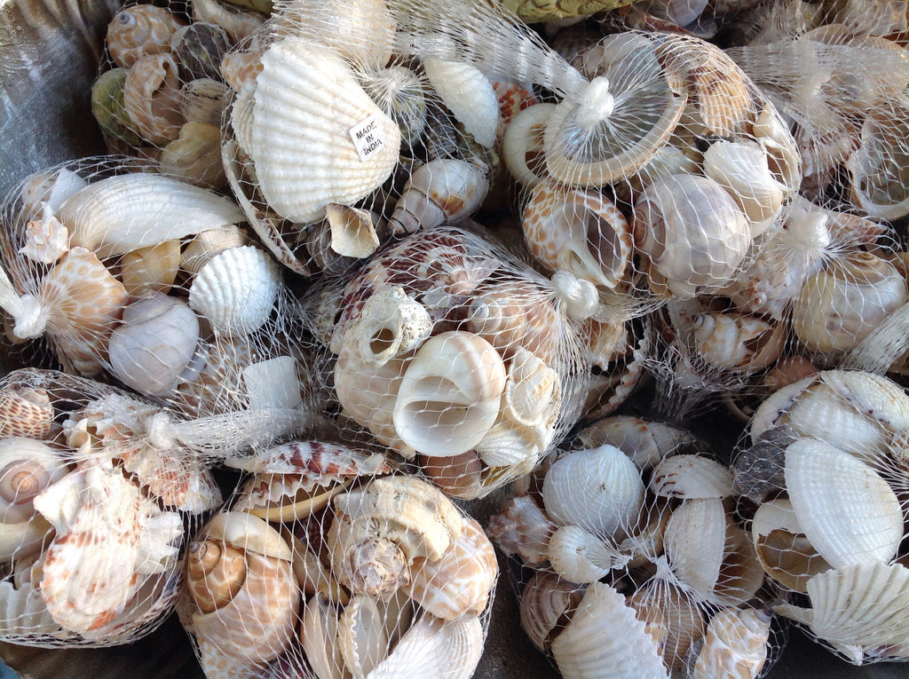 Bulk Shell Pack