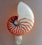 Natural Nautilus Nightlight