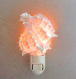 Pink Murex Shell Nightlight