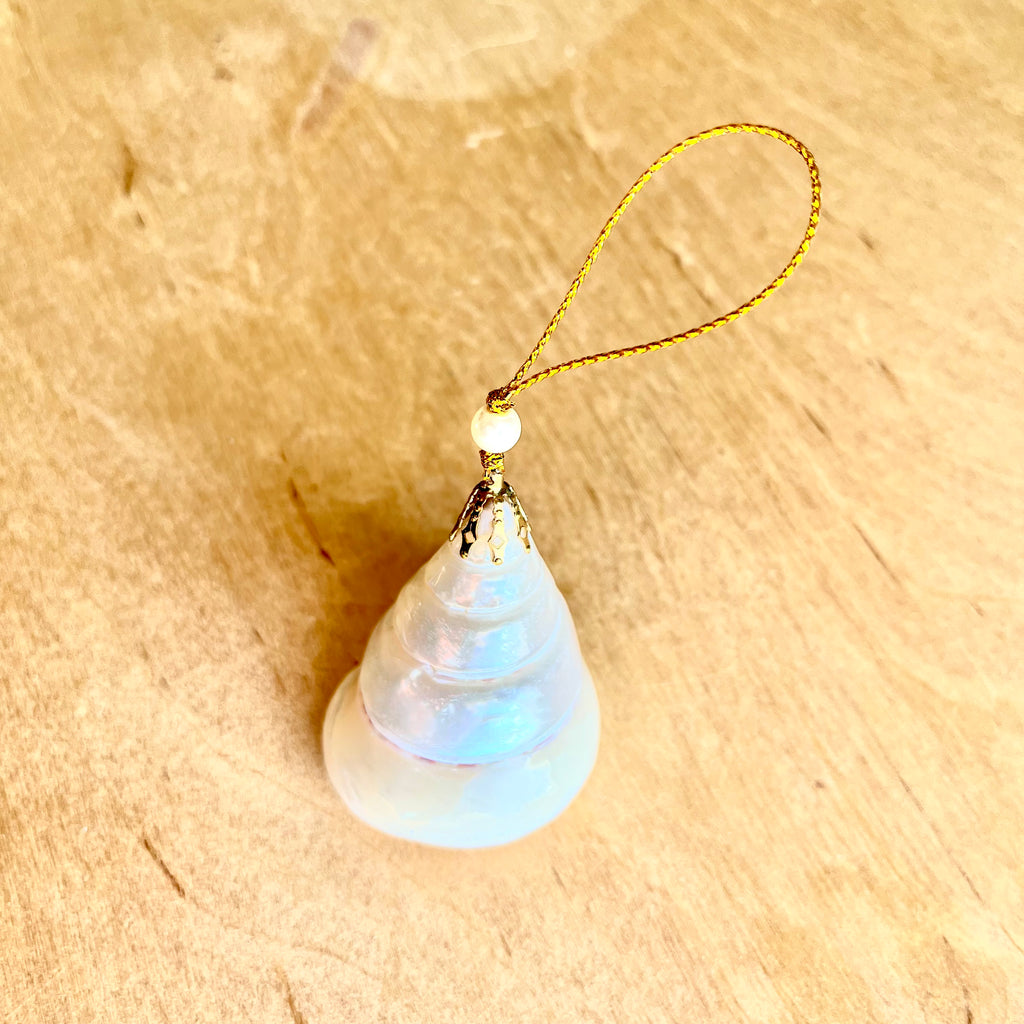 Pearlized Turban Shell Ornament