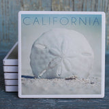 CA Sand Dollar Coaster