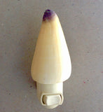 Cone Shell Nightlight