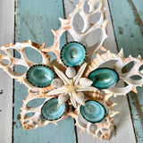 Blue Limpet Star Tree Top